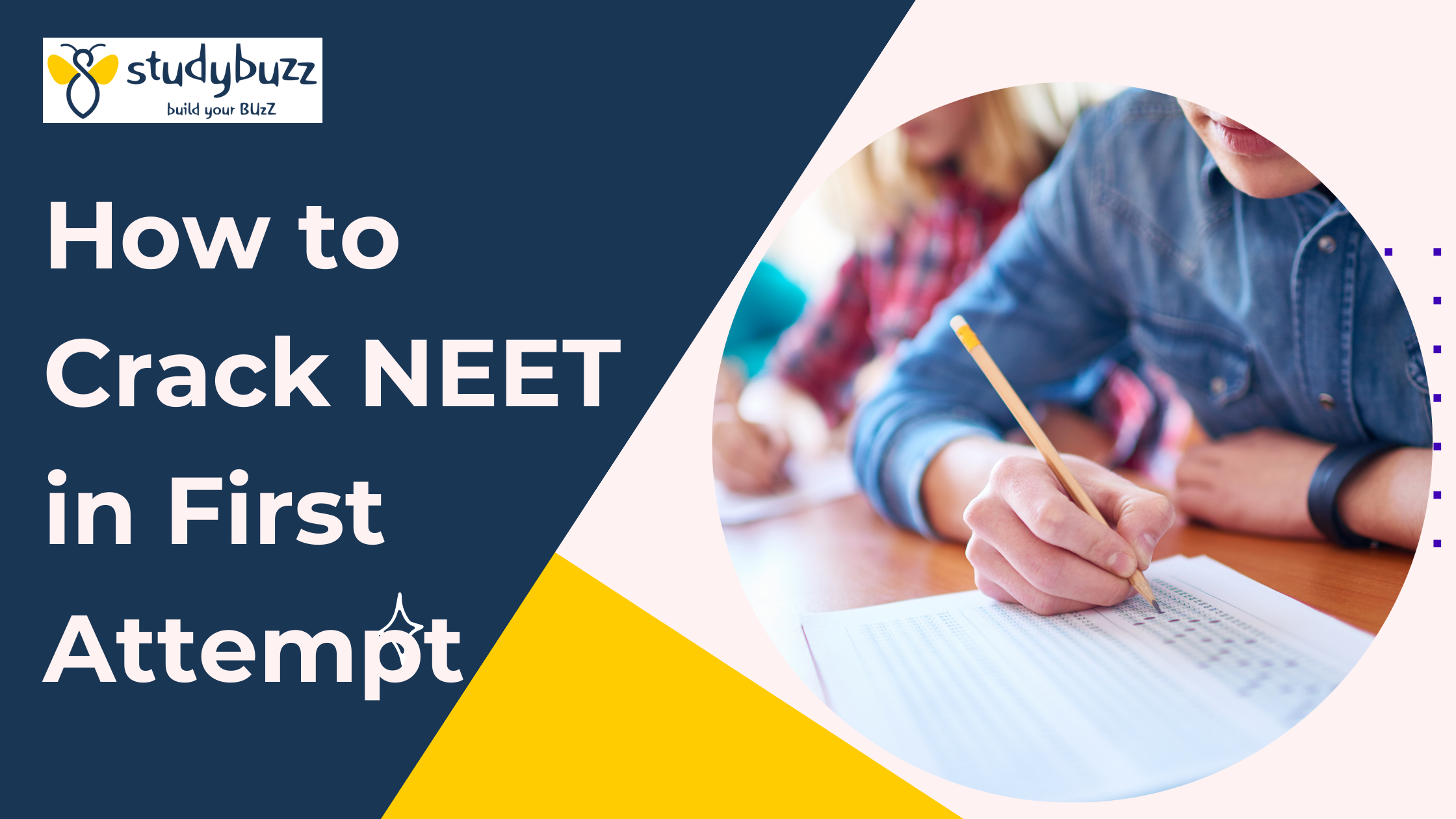 Read more about the article How to Crack NEET in First Attempt